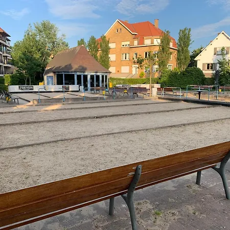 Soucis Au Vent 2 * De Panne